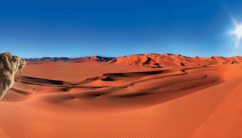 desert
