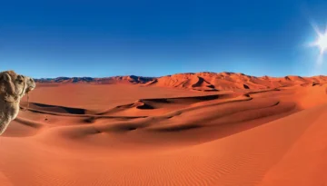 desert
